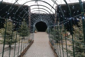 Świąteczne miasteczko w sercu tężni - Radio Kielce 13.12.2025. Busko-Zdrój. Tężnia solankowa / Fot. Marta Gajda-Kruk - Radio Kielce