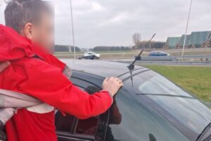 Z promilami za kierownicą - Radio Kielce Źródło: KWP w Kielcach