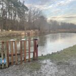 Gospodarstwo rybackie w Osieku-Zawidzy / Fot. Grażyna Szlęzak-Wójcik - Radio Kielce