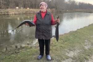 Gospodarstwo rybackie w Osieku-Zawidzy / Fot. Grażyna Szlęzak-Wójcik - Radio Kielce