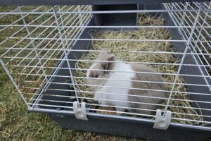 Szopki w Szańcu / Fot. ks. Marek Tazbir