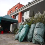 17.12.2025. Kielce. Akcja „Choinka dla życia” / Fot. Wiktor Taszłow - Radio Kielce