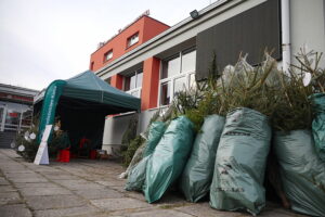 17.12.2025. Kielce. Akcja „Choinka dla życia” / Fot. Wiktor Taszłow - Radio Kielce