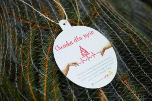 17.12.2025. Kielce. Akcja „Choinka dla życia” / Fot. Wiktor Taszłow - Radio Kielce