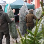 17.12.2025. Kielce. Akcja „Choinka dla życia” / Fot. Wiktor Taszłow - Radio Kielce