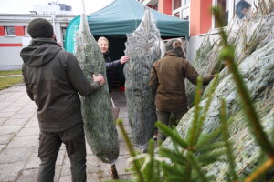 17.12.2025. Kielce. Akcja „Choinka dla życia” / Fot. Wiktor Taszłow - Radio Kielce