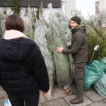 17.12.2025. Kielce. Akcja „Choinka dla życia” / Fot. Wiktor Taszłow - Radio Kielce