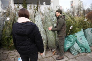 17.12.2025. Kielce. Akcja „Choinka dla życia” / Fot. Wiktor Taszłow - Radio Kielce