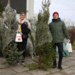 17.12.2025. Kielce. Akcja „Choinka dla życia” / Fot. Wiktor Taszłow - Radio Kielce