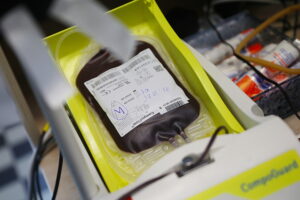 17.12.2025. Kielce. Akcja „Choinka dla życia” / Fot. Wiktor Taszłow - Radio Kielce