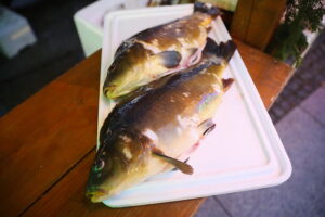 Święta w filmowym kadrze - Radio Kielce 18.12.2025 Kielce. Studio Radia Kielce na Rynku / Fot. Wiktor Taszłow - Radio Kielce