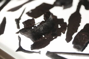 28.12.2025. Nowa Słupia. Muzeum Starożytnego Hutnictwa Świętokrzyskiego. Nowe eksponaty / Fot. Wiktor Taszłow - Radio Kielce