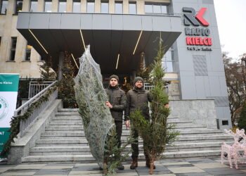 Radio Kielce rozdało słuchaczom kilkadziesiąt żywych choinek