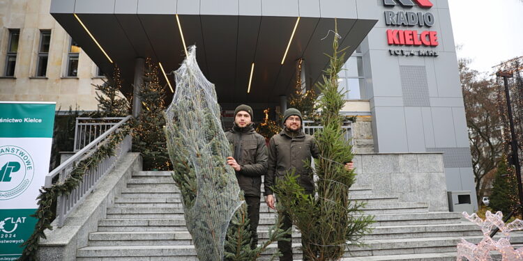 Radio Kielce rozdało słuchaczom kilkadziesiąt żywych choinek