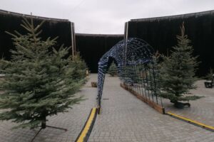 Świąteczne miasteczko w sercu tężni - Radio Kielce 13.12.2025. Busko-Zdrój. Tężnia solankowa / Fot. Marta Gajda-Kruk - Radio Kielce