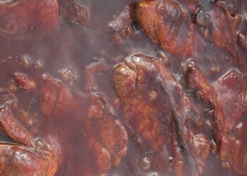 Łatwy sos BBQ z leśną nutą