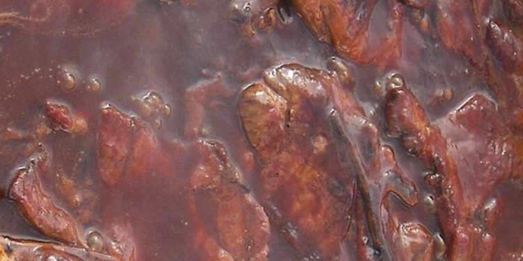 Łatwy sos BBQ z leśną nutą