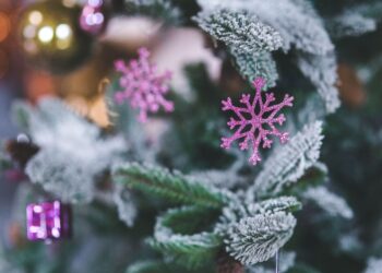 W dekoracjach świątecznych też widać trendy - Radio Kielce W dekoracjach świątecznych też widać trendy