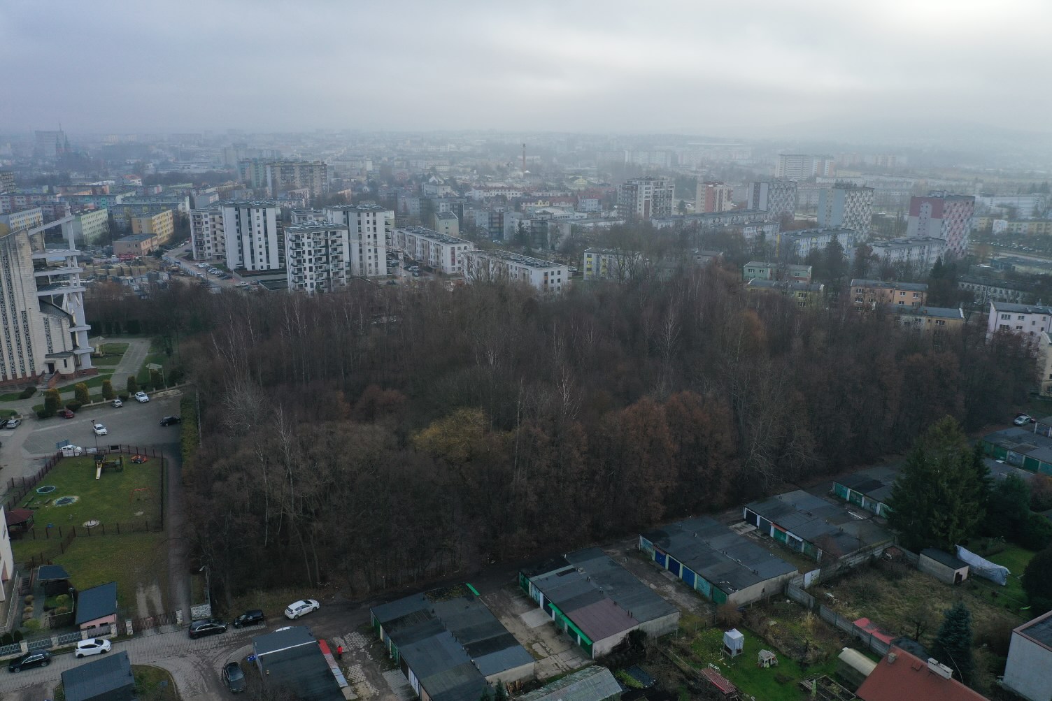 Park Leśny na Czarnowie z szansą na realizację