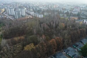 Park Leśny na Czarnowie z szansą na realizację - Radio Kielce Park Leśny na Czarnowie z szansą na realizację