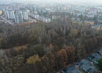 Park Leśny na Czarnowie z szansą na realizację - Radio Kielce Park Leśny na Czarnowie z szansą na realizację