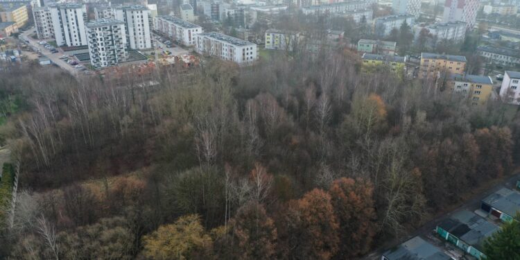 Park Leśny na Czarnowie z szansą na realizację - Radio Kielce Park Leśny na Czarnowie z szansą na realizację