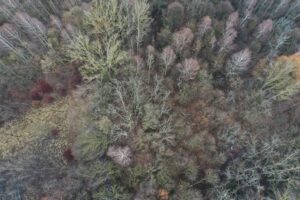 Park Leśny na Czarnowie z szansą na realizację - Radio Kielce 15.12.2025. Kielce. Teren zielony między ulicami Lecha i Piekoszowską / Fot. Jarosław Kubalski - Radio Kielce