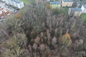 Park Leśny na Czarnowie z szansą na realizację - Radio Kielce 15.12.2025. Kielce. Teren zielony między ulicami Lecha i Piekoszowską / Fot. Jarosław Kubalski - Radio Kielce