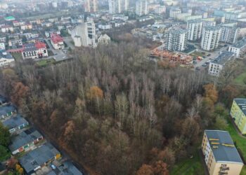 Radni jednogłośnie za realizacją parku na Czarnowie - Radio Kielce Radni jednogłośnie za realizacją parku na Czarnowie