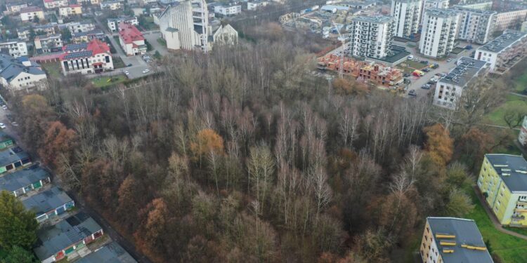 Radni jednogłośnie za realizacją parku na Czarnowie - Radio Kielce Radni jednogłośnie za realizacją parku na Czarnowie