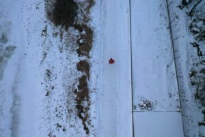 Zalew to nie lodowisko, to może być śmiertelna pułapka - Radio Kielce Zalew to nie lodowisko, to może być śmiertelna pułapka - Radio Kielce