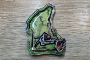 Kolekcja magnesów Sylwestra Łatki z Sandomierza / Fot. Grażyna Szlęzak-Wójcik - Radio Kielce