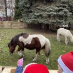 Szkoła w Oblęgorku zmieniła się w zwierzyniec - Radio Kielce 15.12.2025. Oblęgorek. Szopka przy szkole / Fot. Daniel Lenart - Radio Kielce