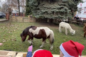 Szkoła w Oblęgorku zmieniła się w zwierzyniec - Radio Kielce 15.12.2025. Oblęgorek. Szopka przy szkole / Fot. Daniel Lenart - Radio Kielce
