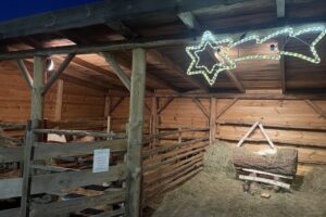 Żywa szopka w Sandomierzu / Fot. Grażyna Szlęzak-Wójcik - Radio Kielce