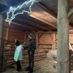 Kuc i osioł w żywej szopce - Radio Kielce Żywa szopka w Sandomierzu / Fot. Grażyna Szlęzak-Wójcik - Radio Kielce