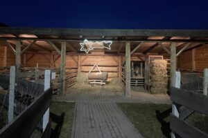 Żywa szopka w Sandomierzu / Fot. Grażyna Szlęzak-Wójcik - Radio Kielce