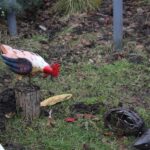 Europejskie Centrum Bajki w Pacanowie / Fot. Marta Gajda-Kruk - Radio Kielce