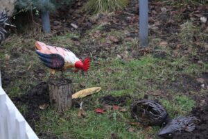 Europejskie Centrum Bajki w Pacanowie / Fot. Marta Gajda-Kruk - Radio Kielce