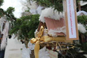 Dwanaście choinek i tysiące światełek wprowadzają w mieście świąteczny nastrój - Radio Kielce