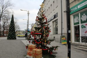 Dwanaście choinek i tysiące światełek wprowadzają w mieście świąteczny nastrój - Radio Kielce