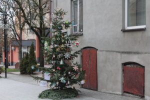 Dwanaście choinek i tysiące światełek wprowadzają w mieście świąteczny nastrój - Radio Kielce