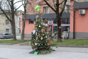 Dwanaście choinek i tysiące światełek wprowadzają w mieście świąteczny nastrój - Radio Kielce