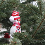 Dwanaście choinek i tysiące światełek wprowadzają w mieście świąteczny nastrój