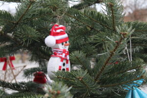 Dwanaście choinek i tysiące światełek wprowadzają w mieście świąteczny nastrój - Radio Kielce