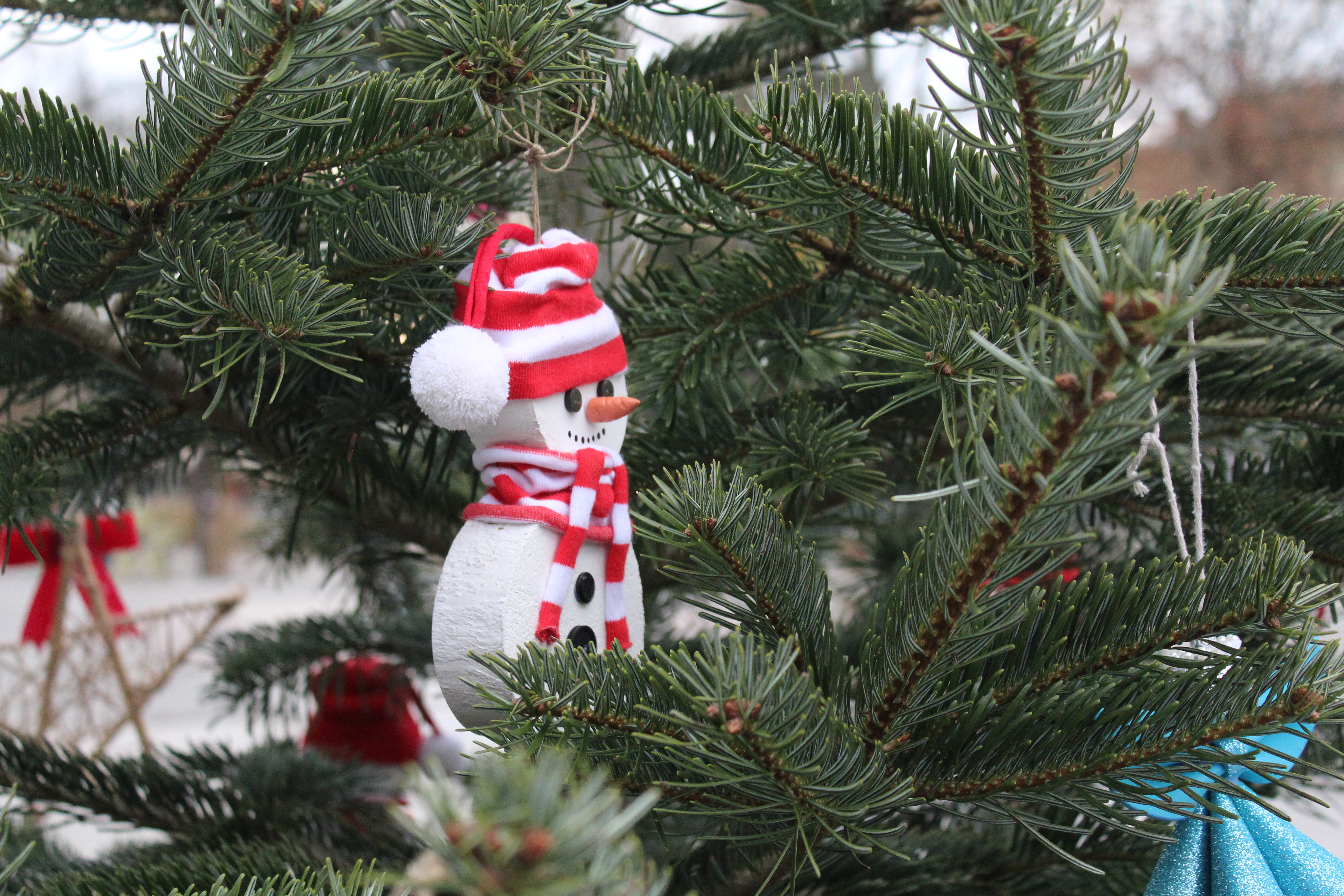 Dwanaście choinek i tysiące światełek wprowadzają w mieście świąteczny nastrój