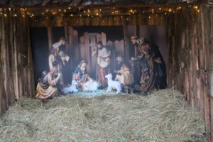 20.12.2025. Lisów. Zoo. Żywa szopka / Fot. Marta Gajda-Kruk - Radio Kielce