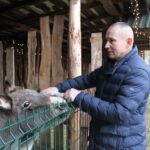 20.12.2025. Lisów. Zoo. Żywa szopka / Fot. Marta Gajda-Kruk - Radio Kielce