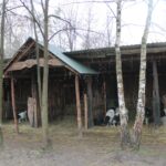 20.12.2025. Lisów. Zoo. Żywa szopka / Fot. Marta Gajda-Kruk - Radio Kielce