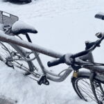 08.01.2026. Kielce. Zima / Fot. Jarosław Kubalski - Radio Kielce